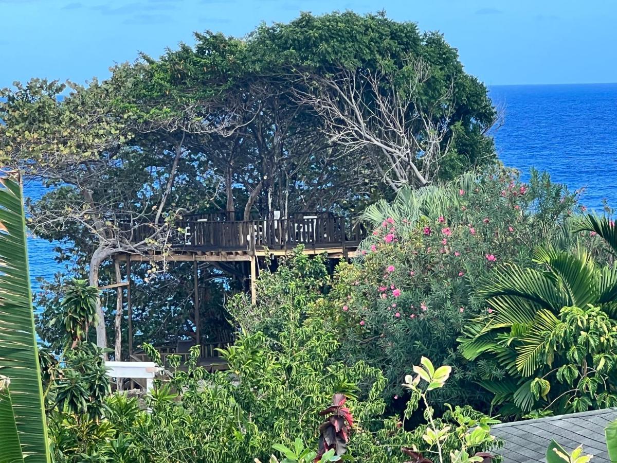 Jamaica Colors Hotel And Eco-Retreat Port Antonio Exteriör bild