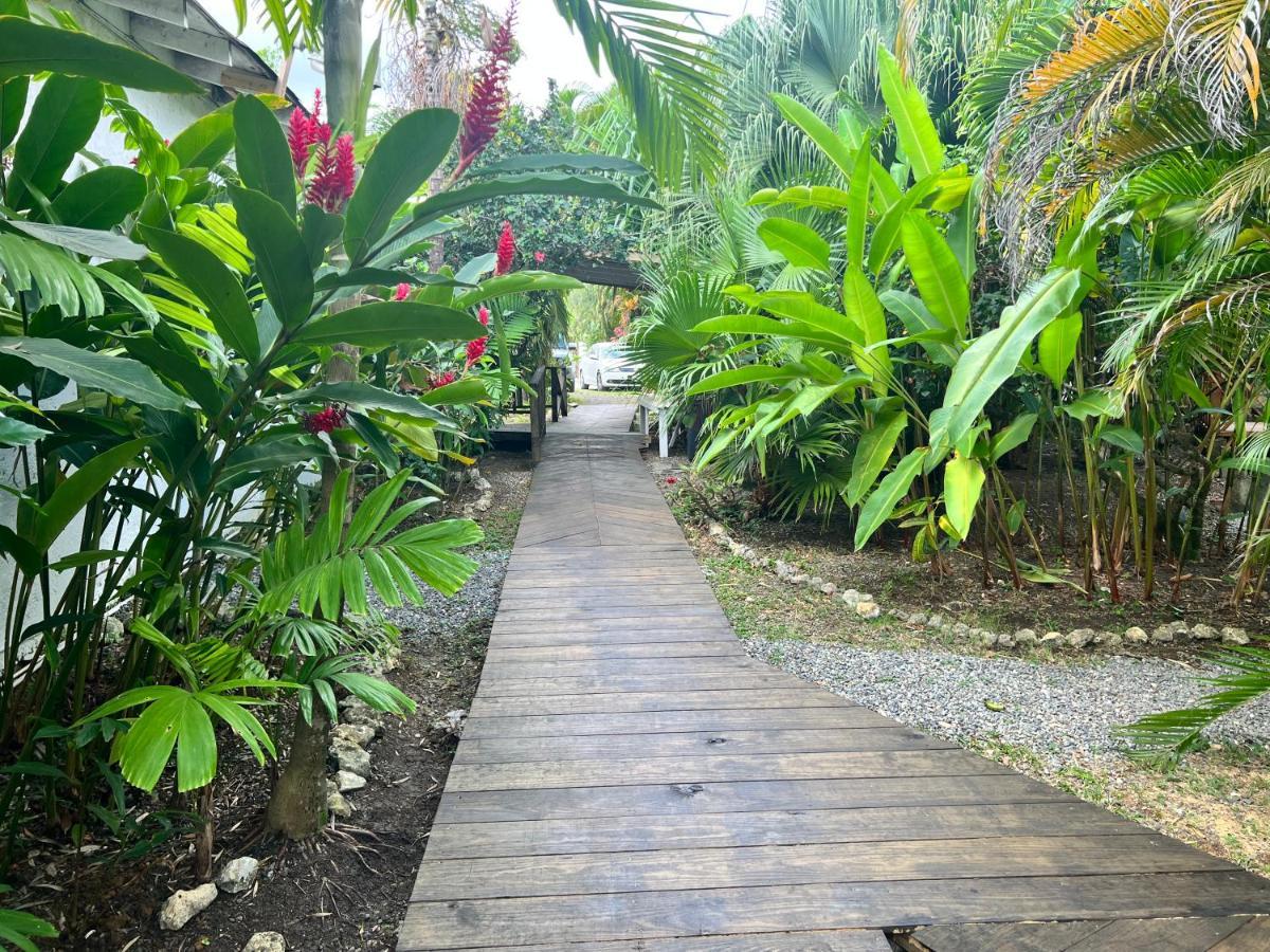 Jamaica Colors Hotel And Eco-Retreat Port Antonio Exteriör bild